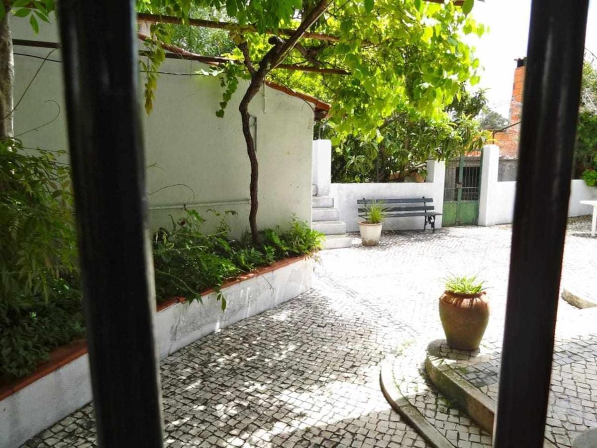 Casa Dos Pocinhos Ferias Tranquilas No Campo Torres Novas Exterior foto